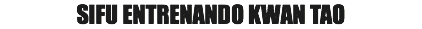 SIFU ENTRENANDO KWAN TAO